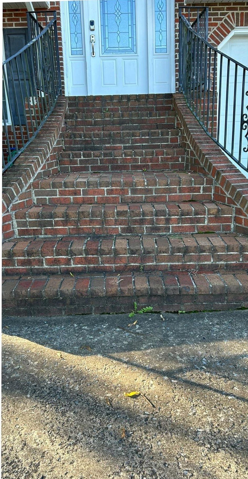 Brick entry steps dulled with dirt and mildew