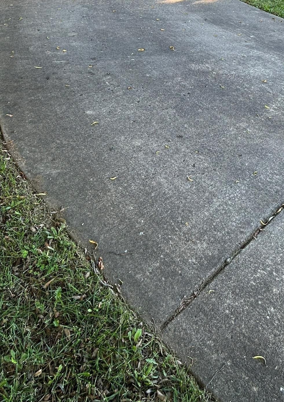 Concrete driveway edge by the lawn, dull gray and scattered with leaves