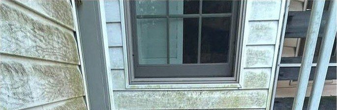Siding and window trim beside back steps coated in green mildew