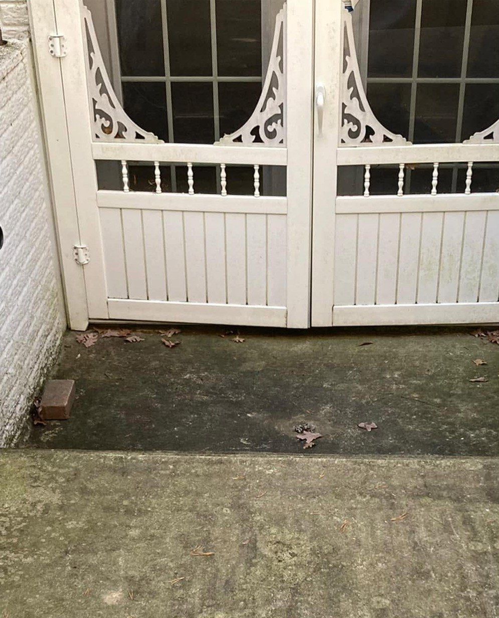 Concrete entry slab below white double gates, dark with algae