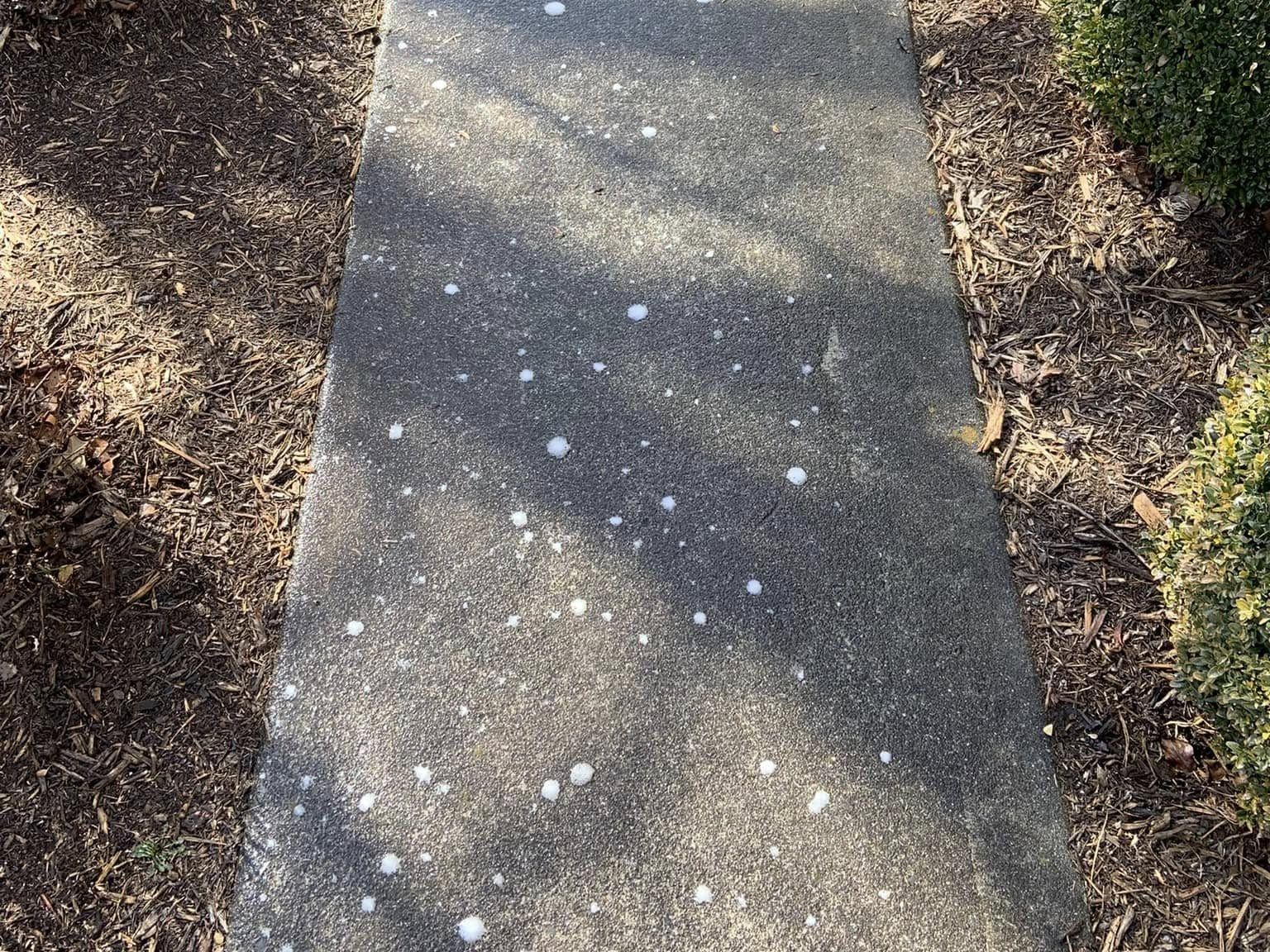 Concrete walkway between mulch beds dotted with cleaning foam partway through the job