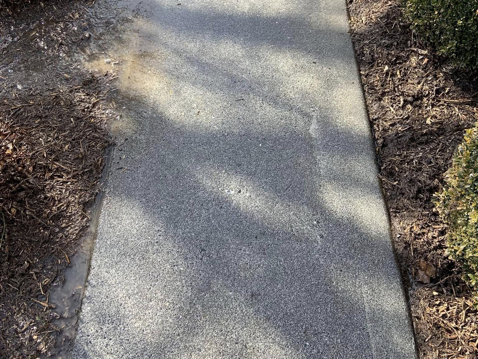 Freshly washed concrete walkway, light and even, between mulch beds and shrubs