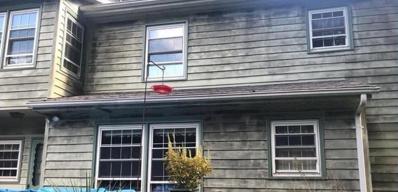 Green lap-siding house wall dark with mildew around the windows
