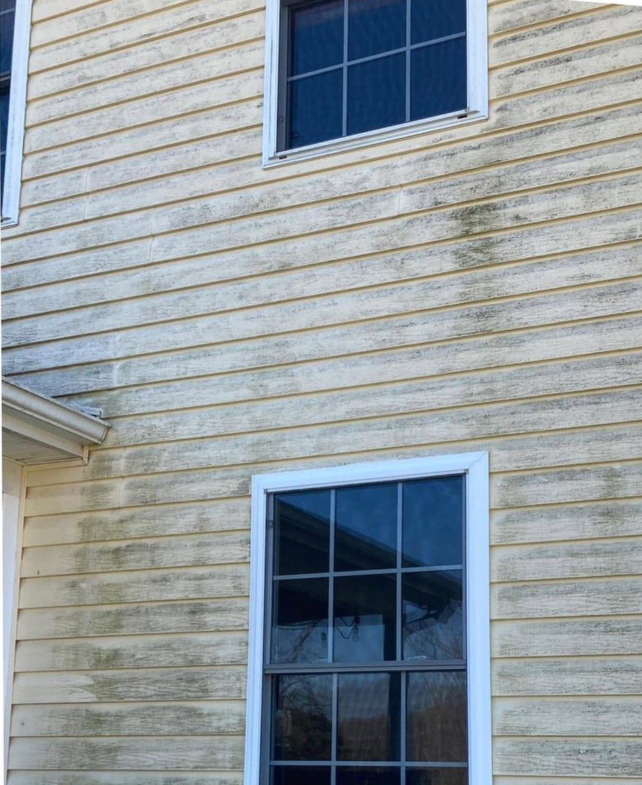 Pale yellow vinyl siding between two windows, streaked gray and green with mildew along the laps