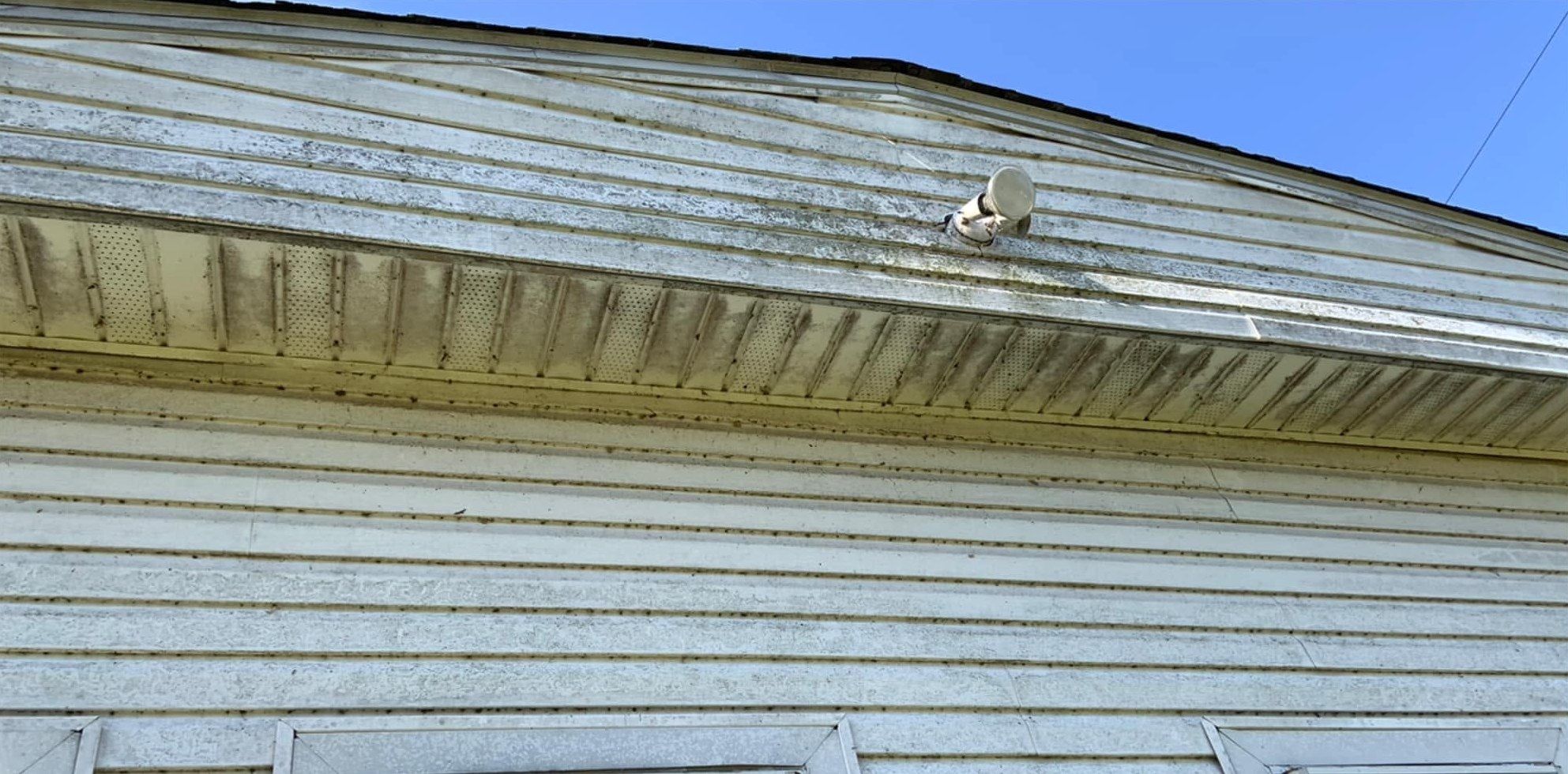 Soffit and gable siding speckled with black mildew