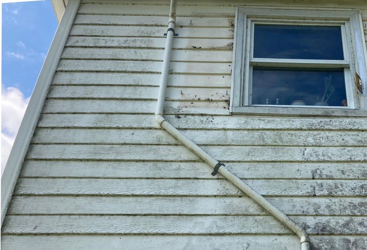Cream vinyl siding under a window, crossed by a white drain pipe, with gray mildew and dark spatter along the laps
