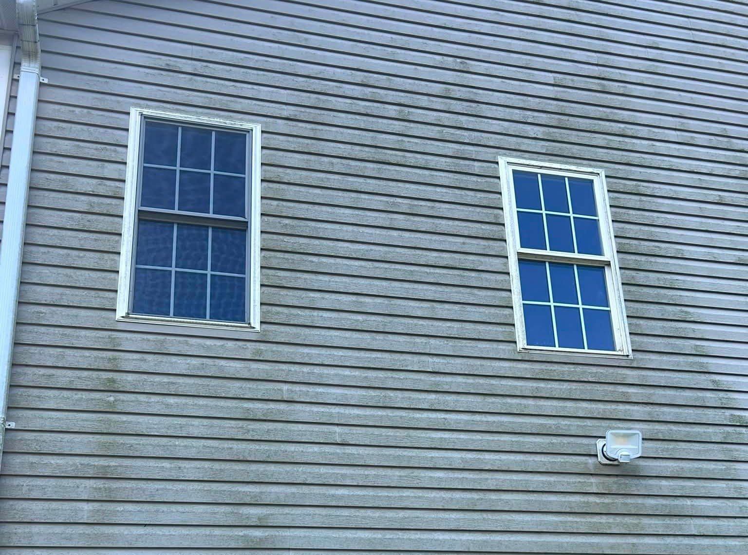 Tan vinyl siding with green mildew streaks between two windows before soft washing