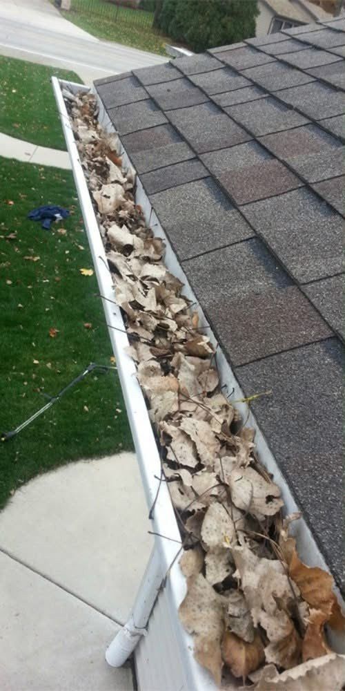 Gutter packed with dead leaves