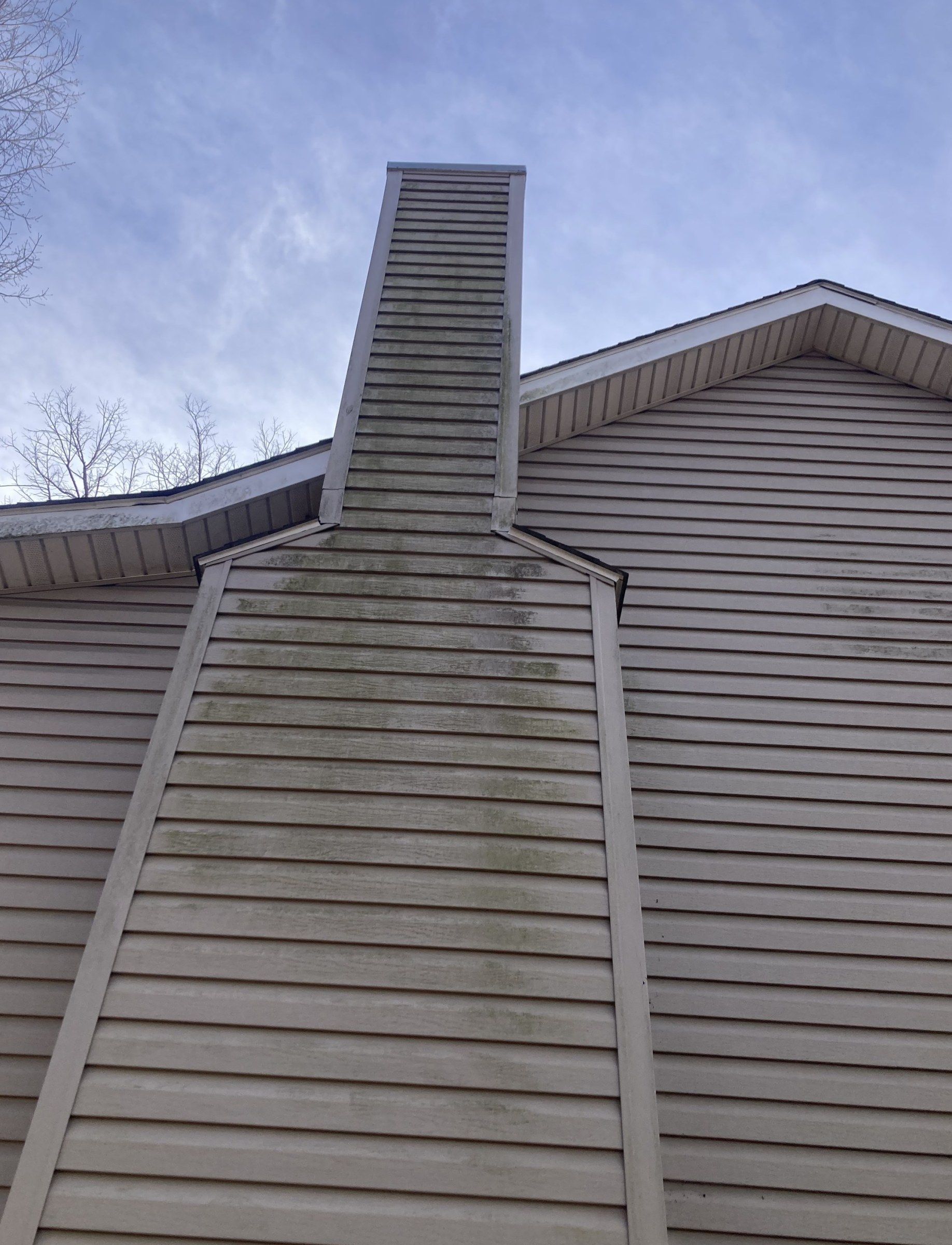 Vinyl siding on a chimney chase streaked with green algae